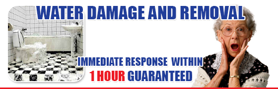 Flood Removal Services Newport Beach