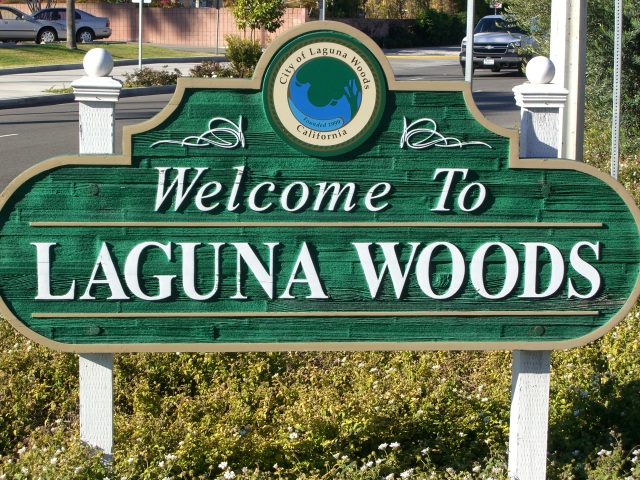 Laguna Woods Water Damage Company