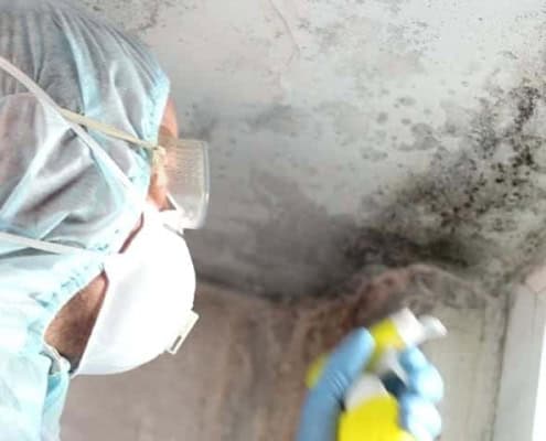 Mold removal in Brea with containment and moisture detection after water damage
