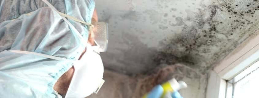 Mold removal in Brea with containment and moisture detection after water damage