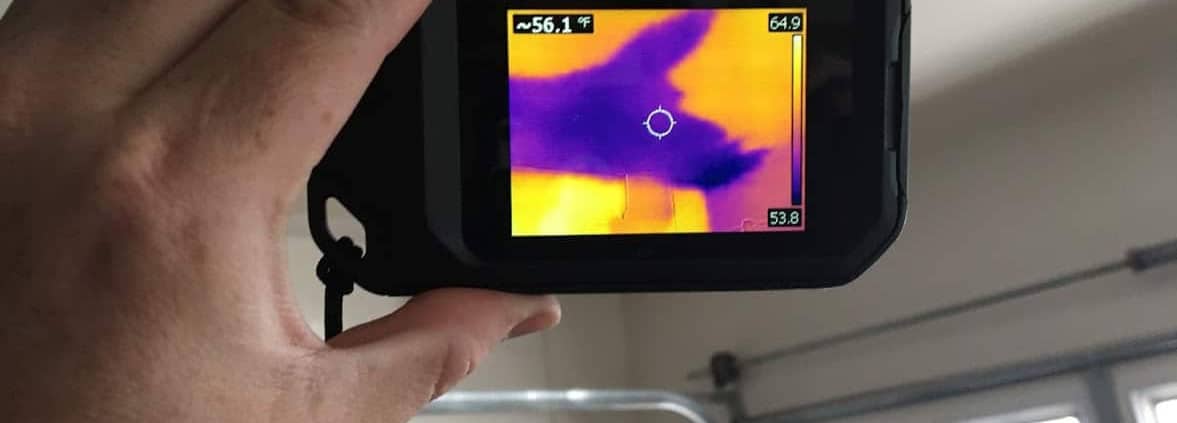 Thermal imaging used during an Irvine mold specialist evaluation
