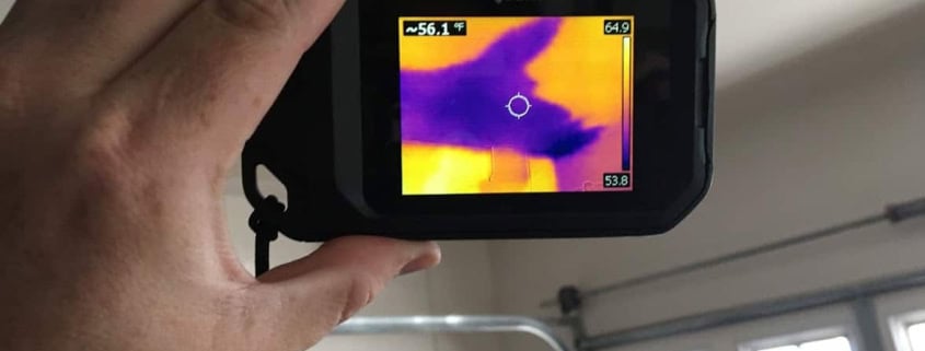 Thermal imaging used during an Irvine mold specialist evaluation