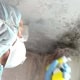 Laguna Hills mold remediation technician performing treatment procedures