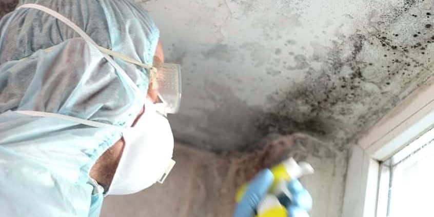 Laguna Hills mold remediation technician performing treatment procedures