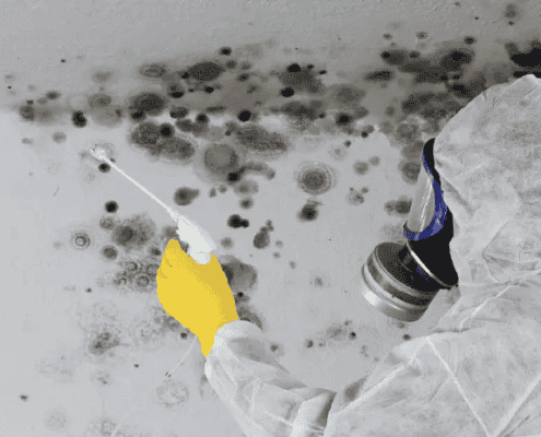Professional mold containment and remediation procedures in Mission Viejo