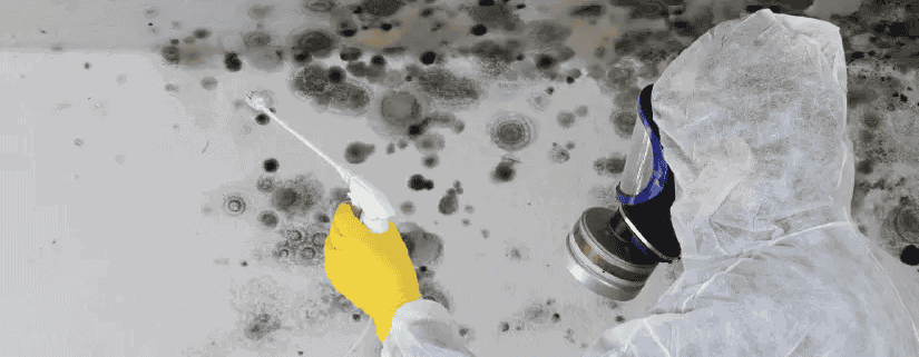Professional mold containment and remediation procedures in Mission Viejo