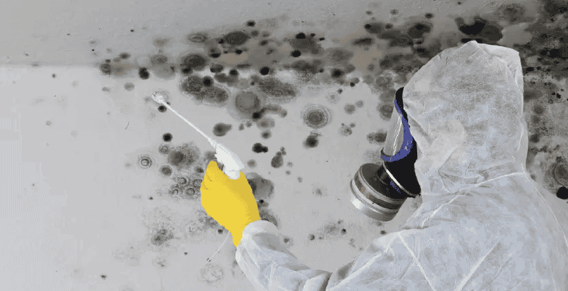 Professional mold containment and remediation procedures in Mission Viejo