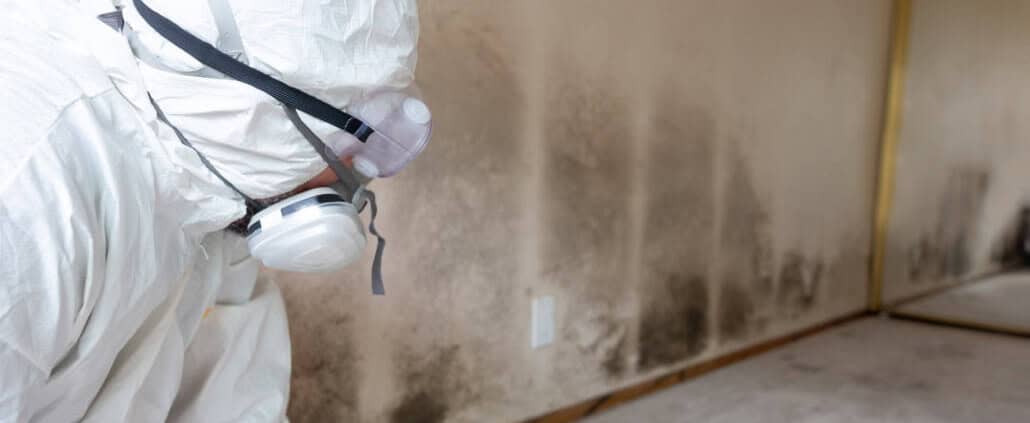 Containment and mold remediation services for Mold Removal Laguna Hills, CA