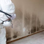 Containment and mold remediation services for Mold Removal Laguna Hills, CA