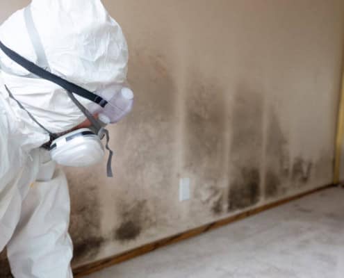Containment and mold remediation services for Mold Removal Laguna Hills, CA