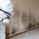 Containment and mold remediation services for Mold Removal Laguna Hills, CA