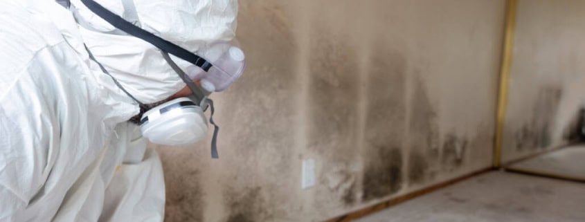 Containment and mold remediation services for Mold Removal Laguna Hills, CA
