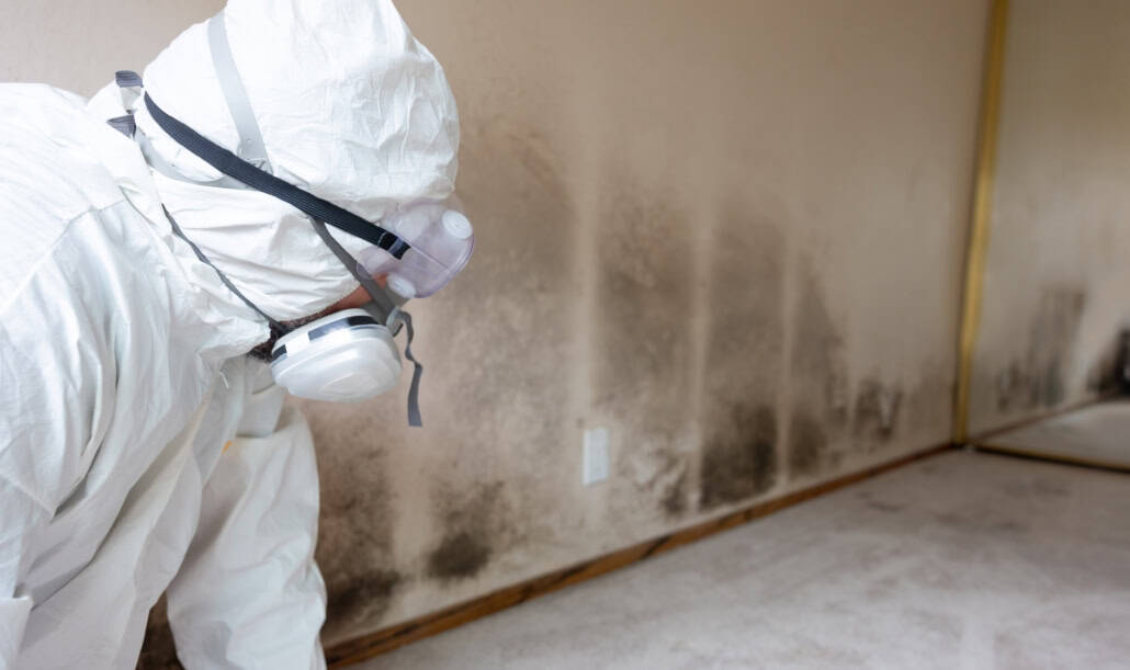 Containment and mold remediation services for Mold Removal Laguna Hills, CA