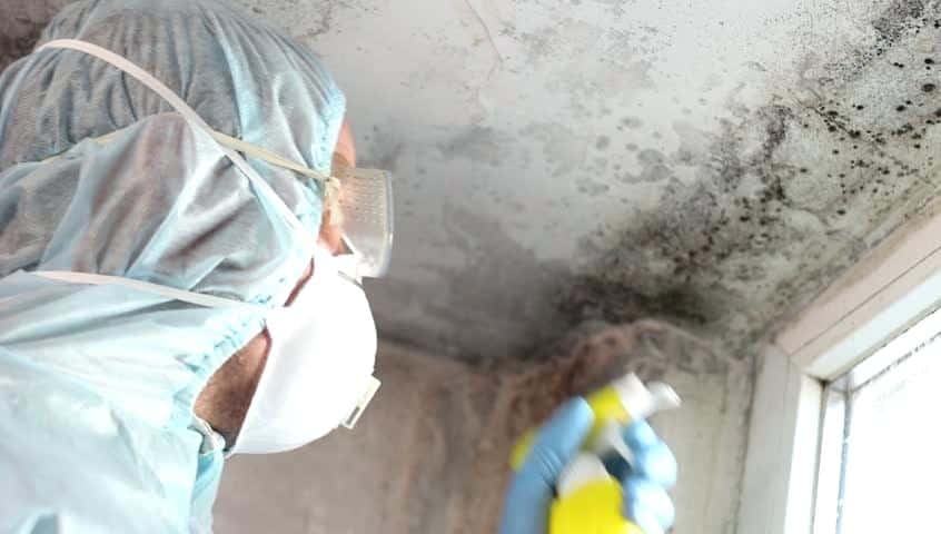 Laguna Hills mold cleanup and remediation services