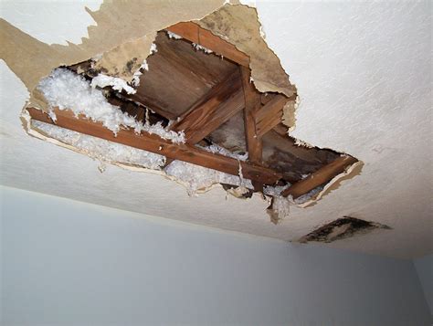 Wet ceiling insulation from an HVAC condensate leak during a Lake Forest moisture inspection