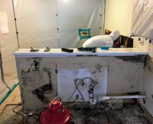 Professional mold remediation containment and HEPA filtration procedures in Mission Viejo