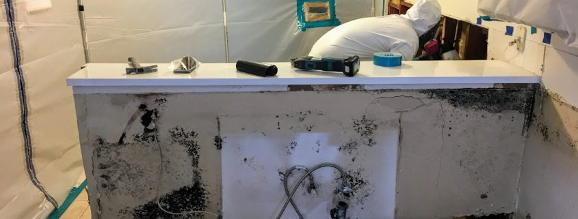 Professional mold remediation containment and HEPA filtration procedures in Mission Viejo