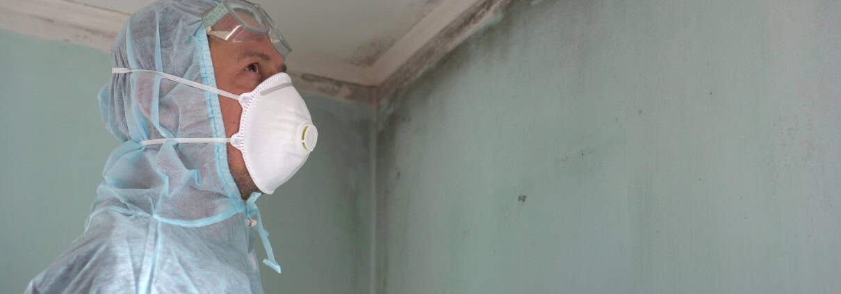mold removal