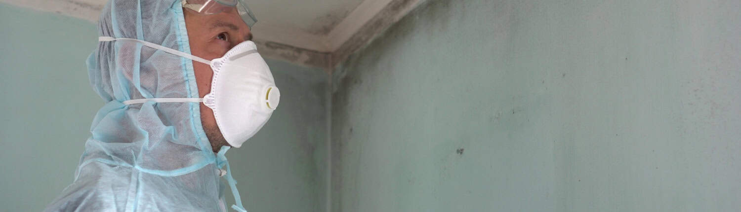 mold removal