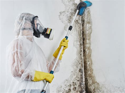 Lake Forest mold remediation drywall cleanup and removal