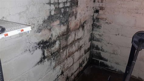 Visible mold growth identified during a Rancho Santa Margarita mold inspection