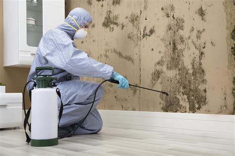 Mold Remediation Lake Forest containment and moisture cleanup