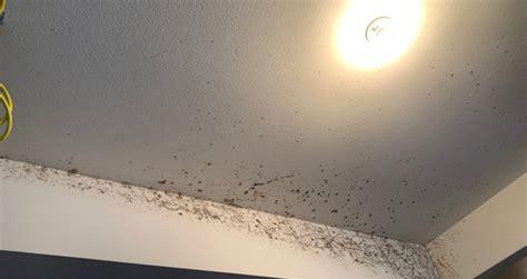 Newport Beach bathroom mold inspection and ceiling moisture damage