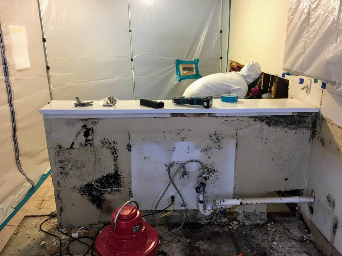 San Juan Capistrano mold remediation containment and structural drying services