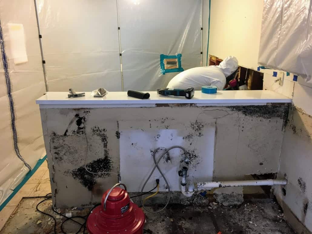 Containment and HEPA filtration during mold remediation in Tustin