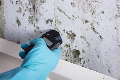 Moisture detection during a mold remediation inspection in Tustin